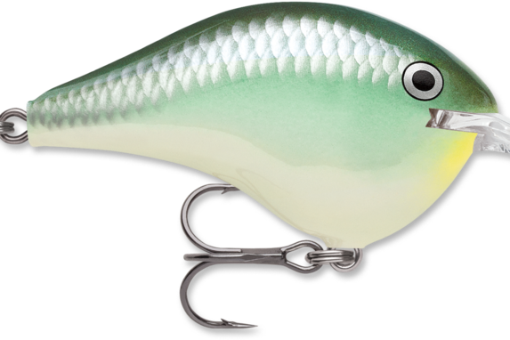 Rapala DT-6 Blue Back Herring