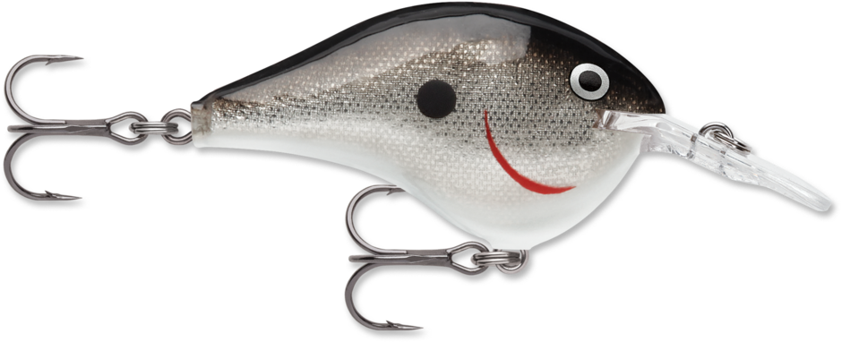 Rapala DT-8 Silver