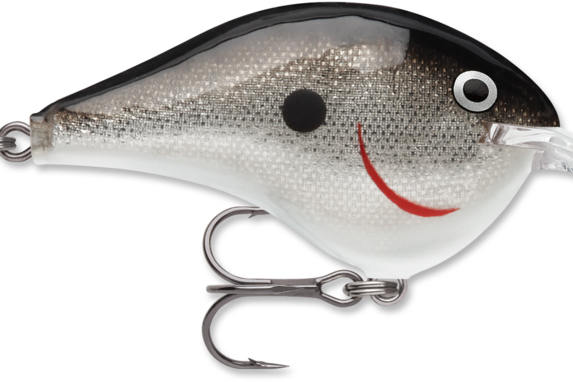 Rapala DT-4 Silver