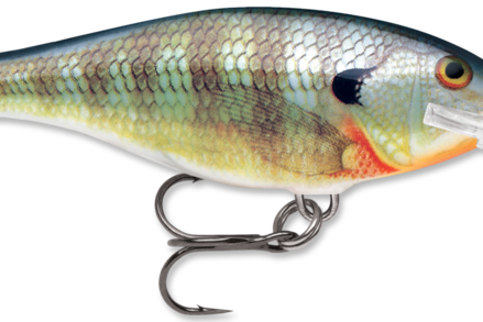 Rapala Shad Rap 07