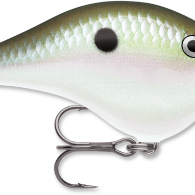 Rapala DT-8 Green Gizzard Shad