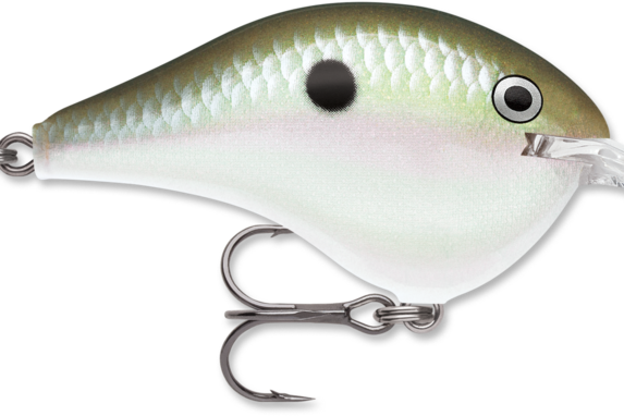 Rapala DT-4 Green Gizzard Shad