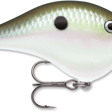 Rapala DT-6 Green Gizzard Shad