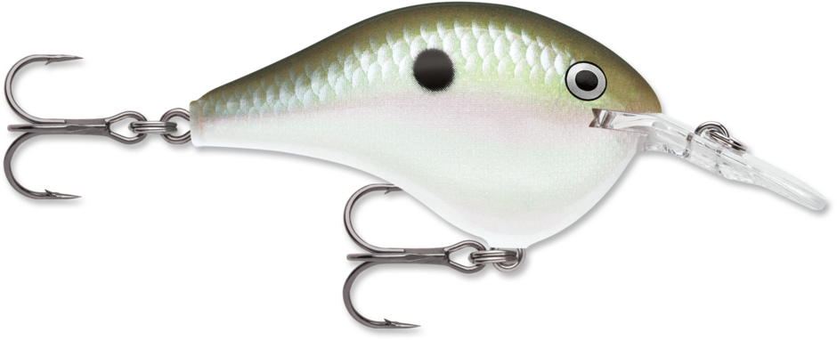 Rapala DT-6 Green Gizzard Shad