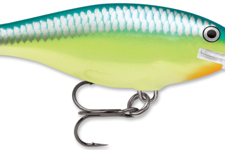 Rapala Shad Rap 07 Caribbian Shad
