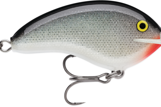 Rapala Ott’s Garage Deep Tiny 07 Crankbait Silver