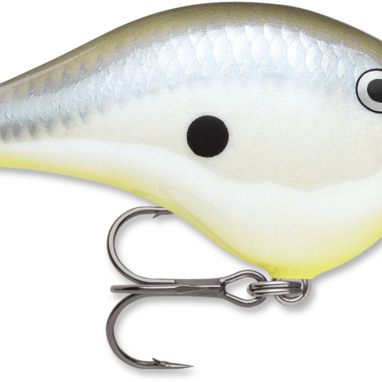Rapala DT-6 Disco Shad