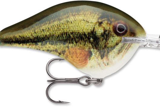Rapala DT-10