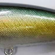 Yellow Magic 1/4 Poppers Bream