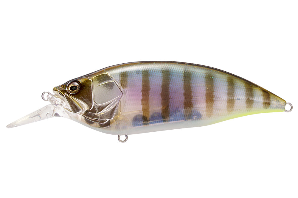 Megabass Big M 4.0 Crankbaits Gillkko