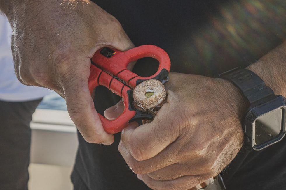 Bubba Bubba Small Shears