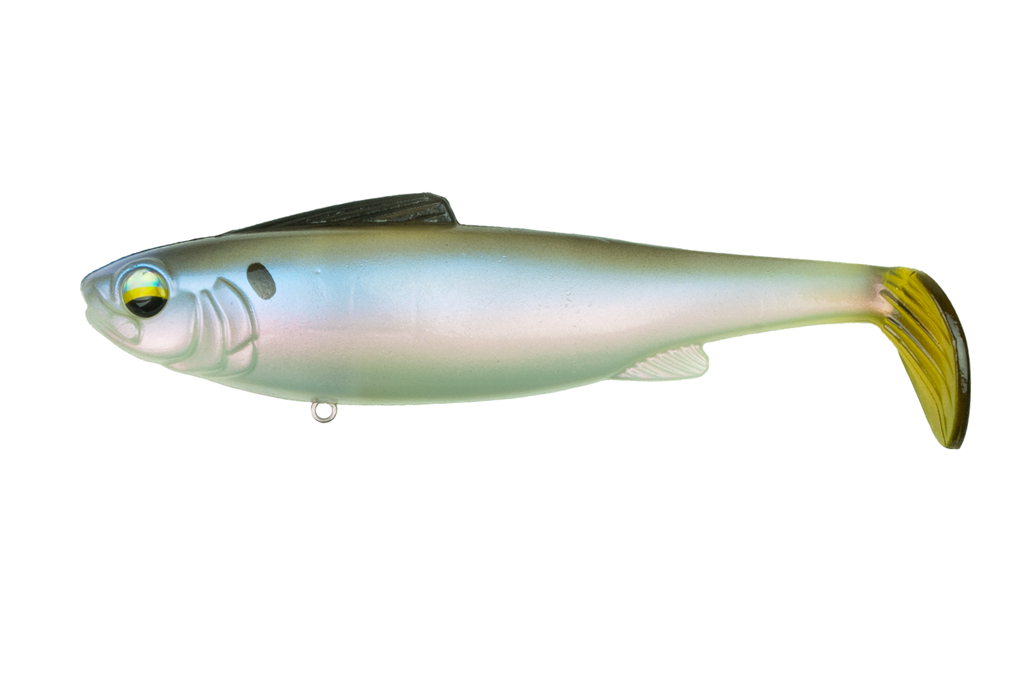 6th Sense Hangover Clearwater Shad