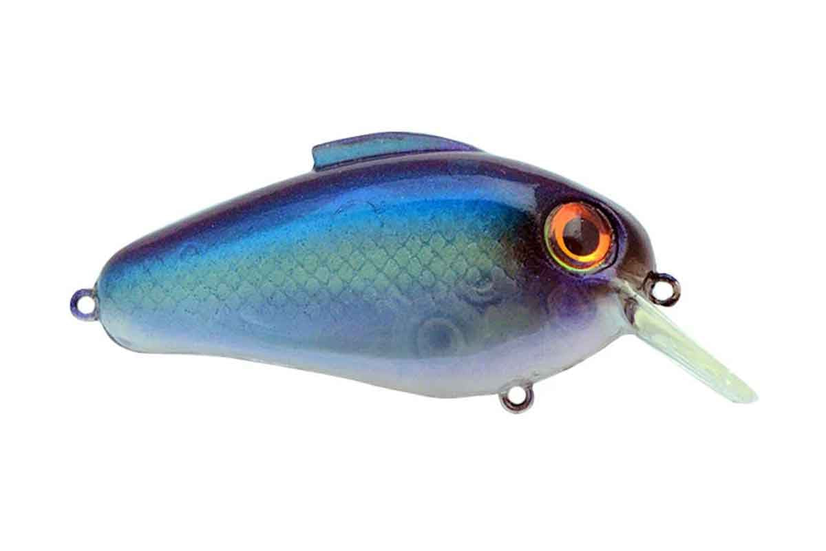 Bill Lewis Echo 1.75 Squarebill Crankbait
