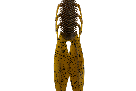 6th Sense Bodega Green Pumpkin