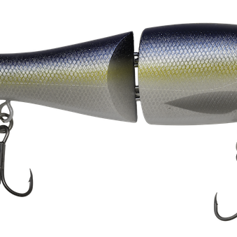 Poppa Pete Steve's Gizzard Shad
