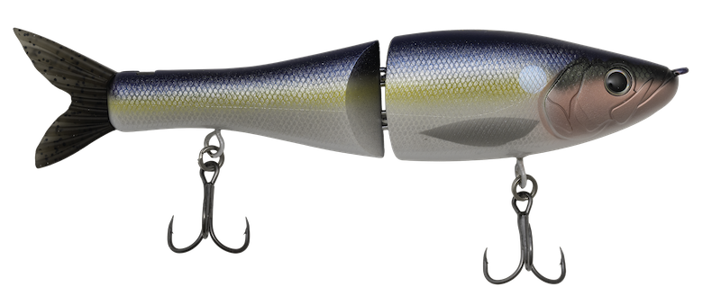 Poppa Pete Steve's Gizzard Shad