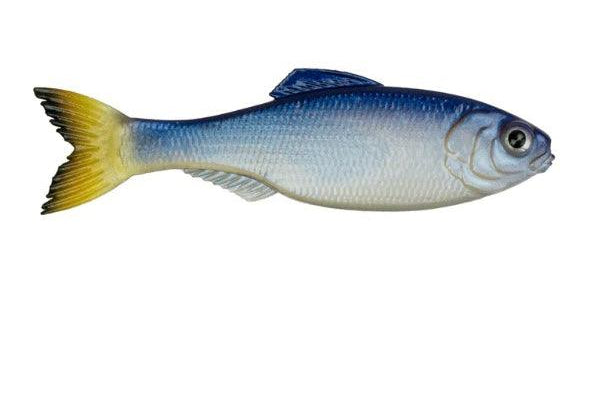 6th Sense Panorama Glass Minnow pk)