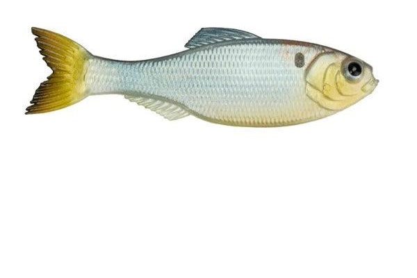 6th Sense Panorama Shad Clone pk)