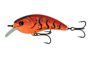 6th Sense Movement L7 Boiled Crawfish*