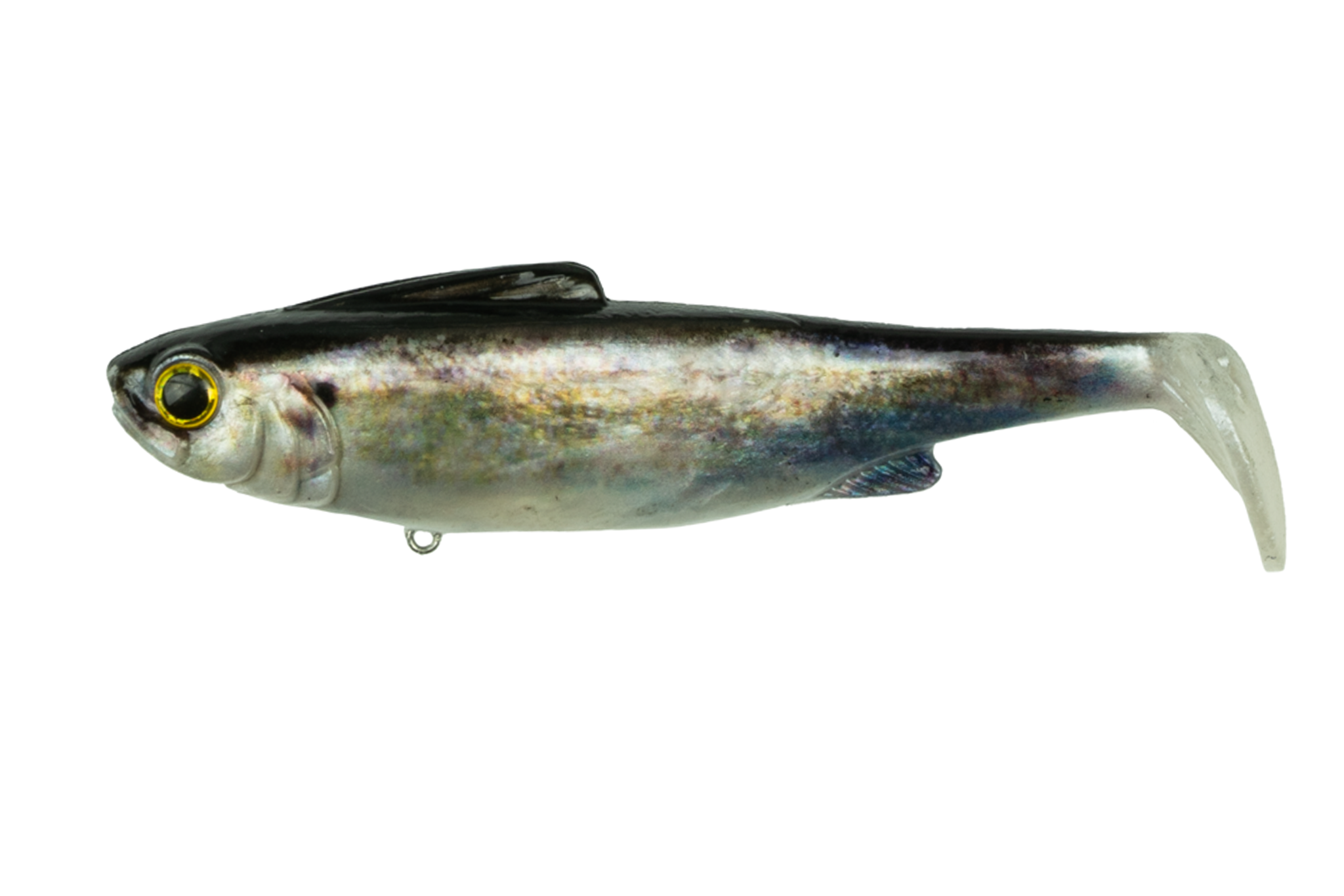 6th Sense Hangover Live Shad