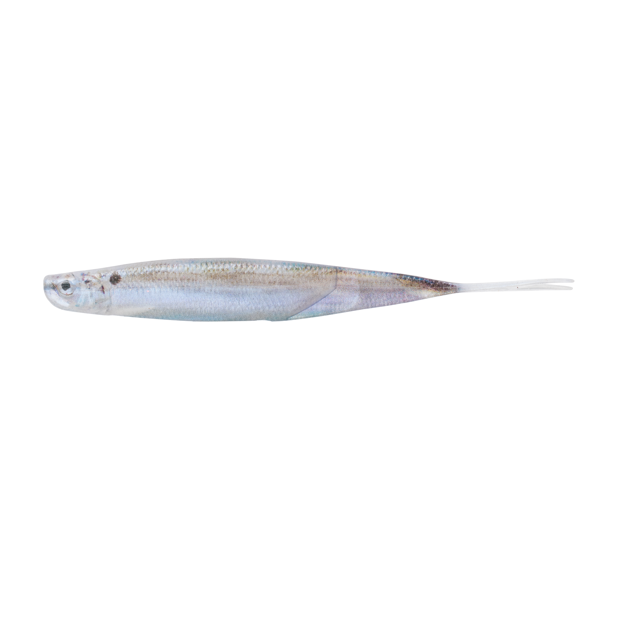 6th Sense Freshwater Shindo Shad Live Threadfin Shad