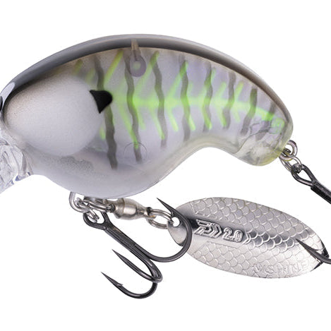 Daiwa Mr. Fortune Gill With Bone