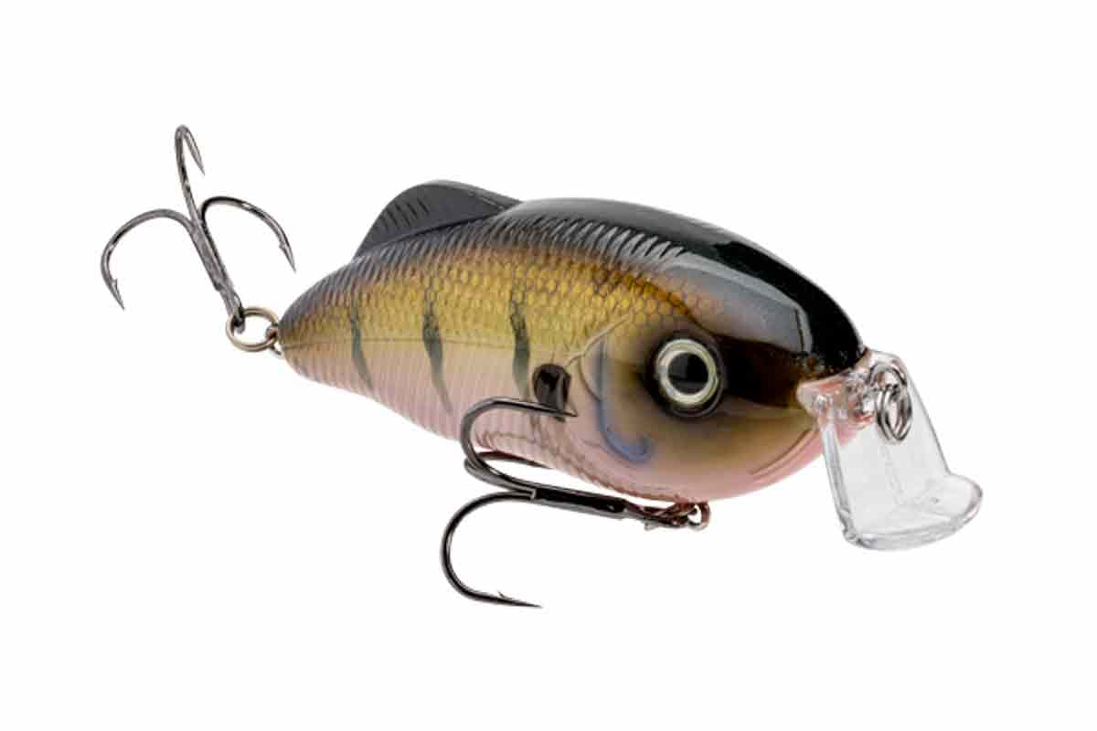 Strike King Hybrid Hunter Jr.