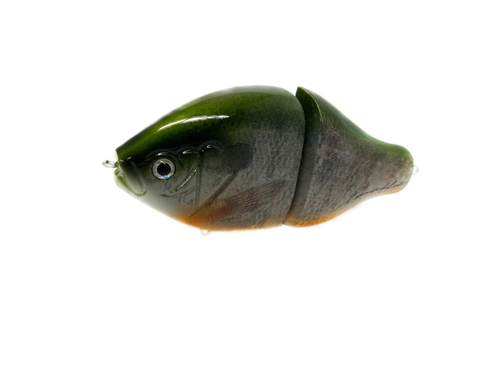 Roman Made South Premium Autumn