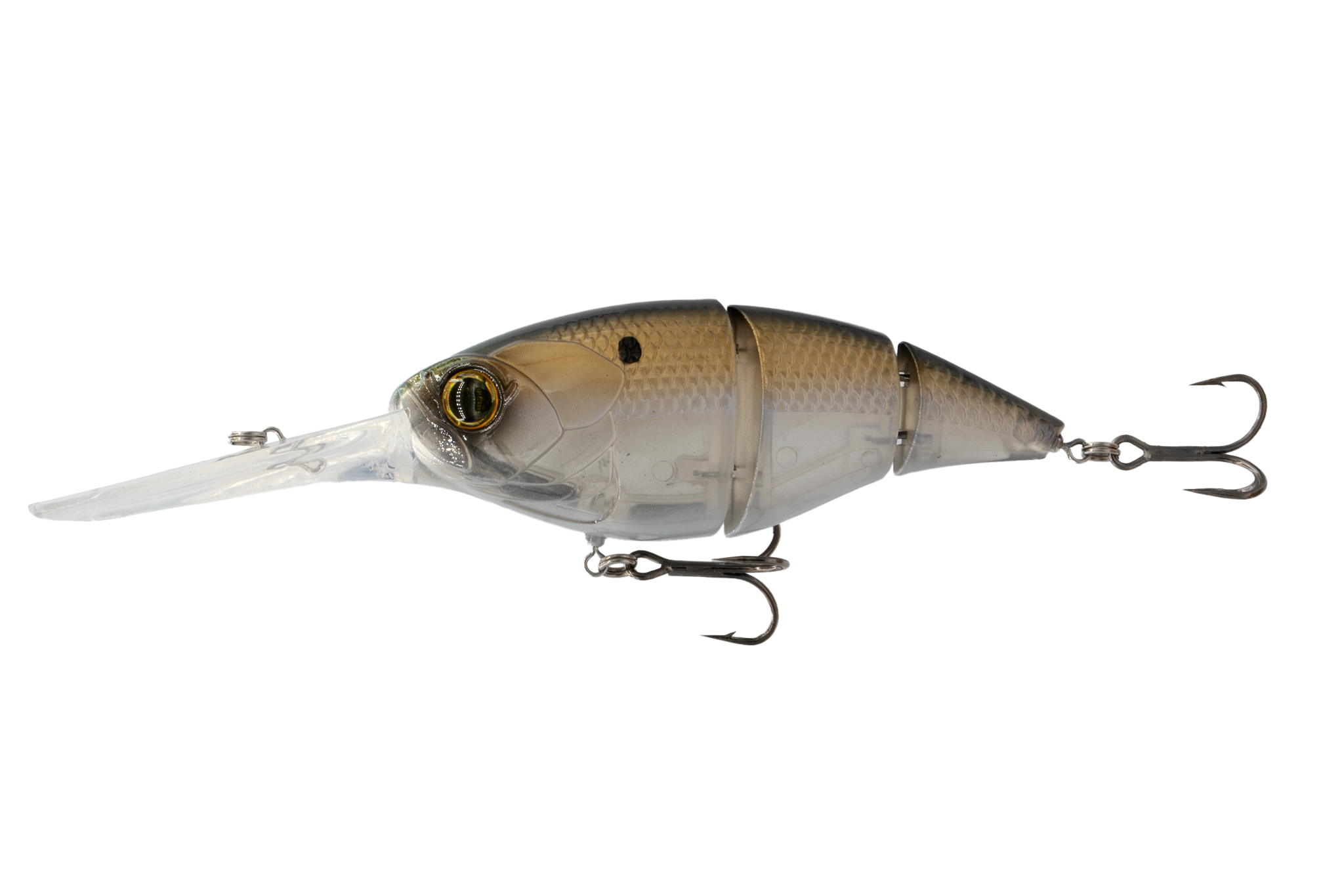 6th Sense The Unit 24 Ghost Gizzard