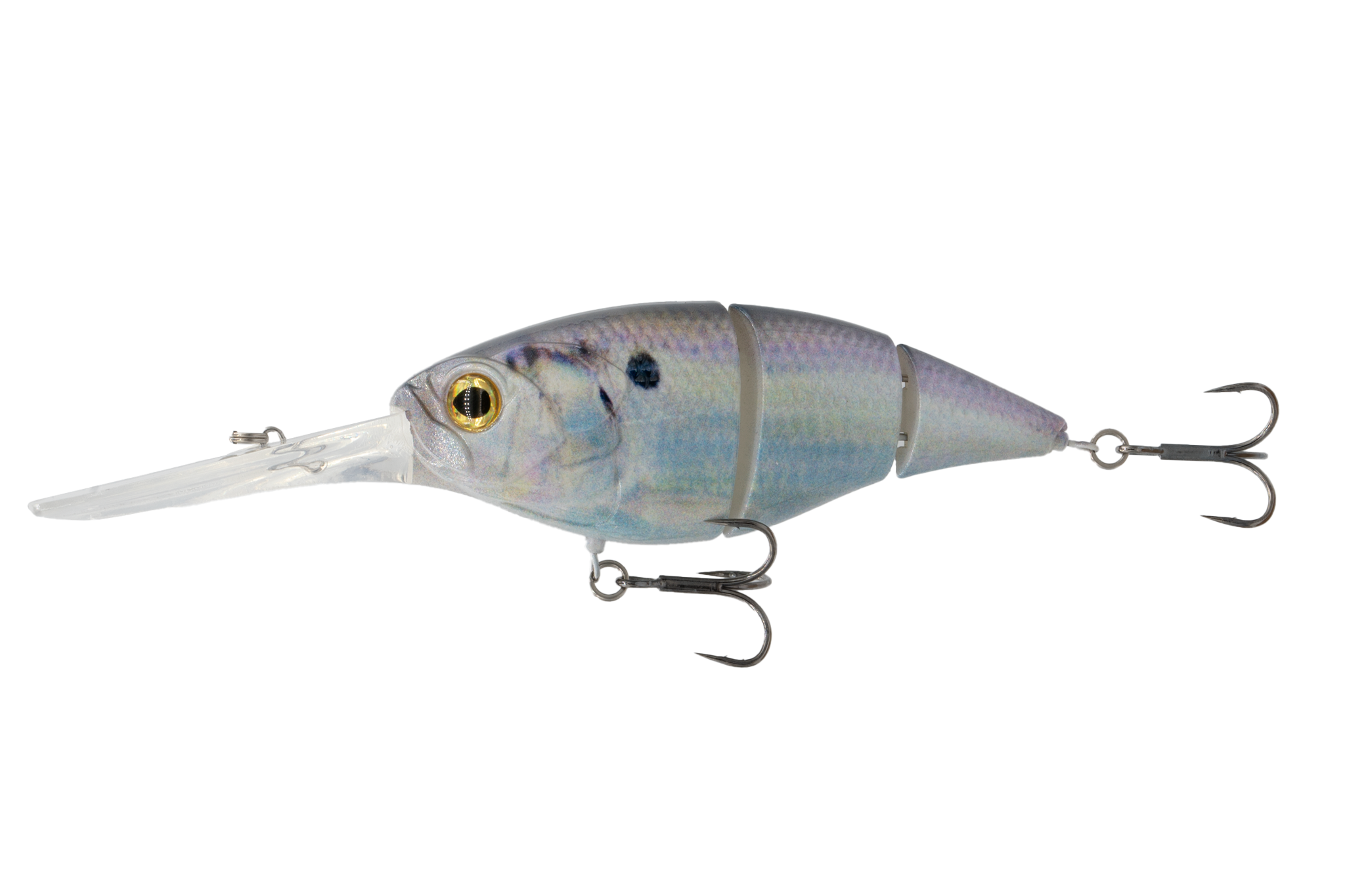 6th Sense The Unit 24 Live Gizzard Shad