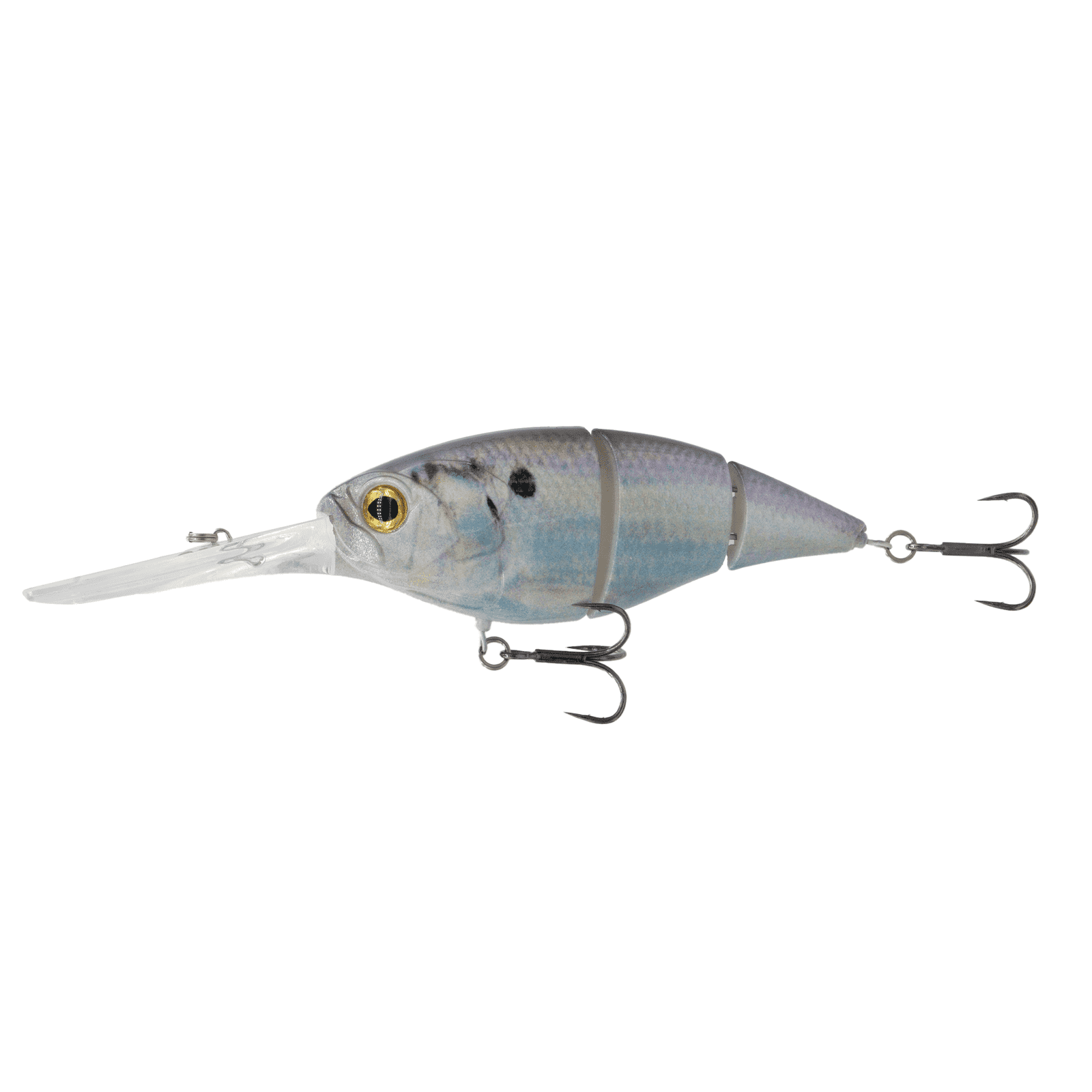 6th Sense The Unit 24 Live Gizzard Shad