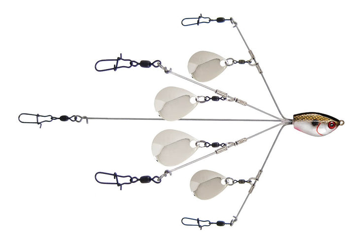 Yumbrella Flash Mob Jr. Colorado Rig Colorado