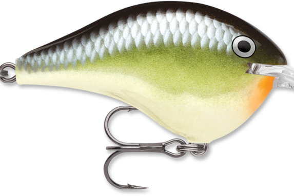 Rapala DT-6 Smash