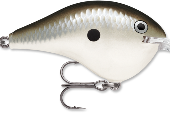 Rapala DT-4 Pearl Grey Shiner (D)