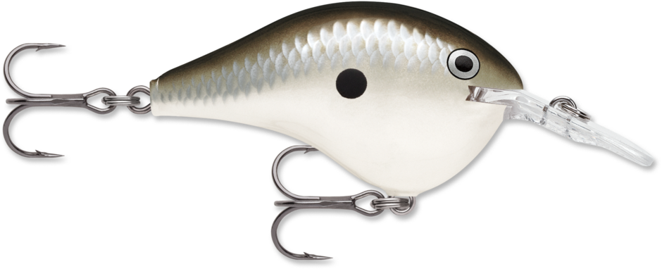 Rapala DT-4 Pearl Grey Shiner (D)