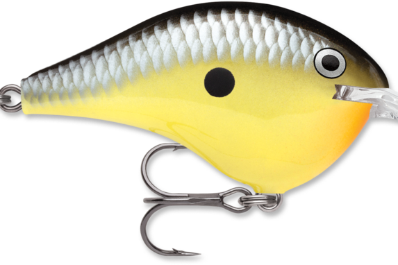 Rapala DT-6 Old School
