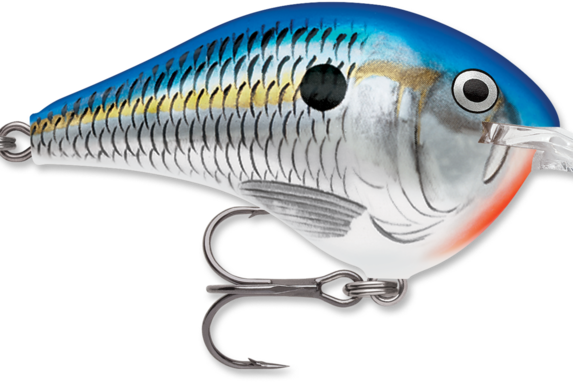 Rapala DT-6 Blue Shad