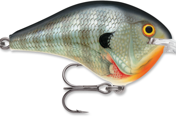 Rapala DT-6 Bluegill