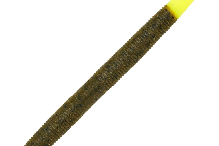 Berkley PowerBait MaxScent The General Green Pumpkin Chartreuse 5"