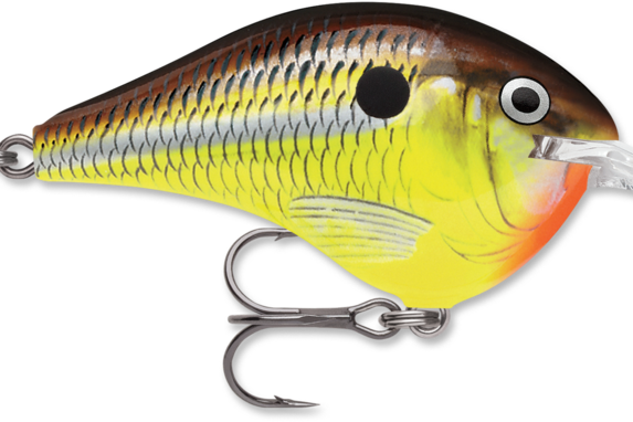 Rapala DT-4 Hot Mustard