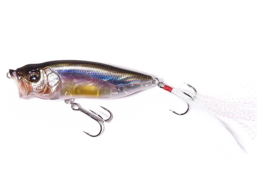 Megabass Pop Max Kasumi ITO*