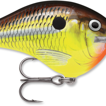 Rapala DT-10 Hot Mustard