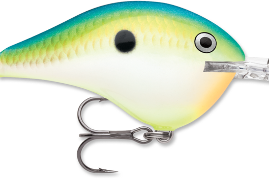 Rapala DT-14 Citrus Shad