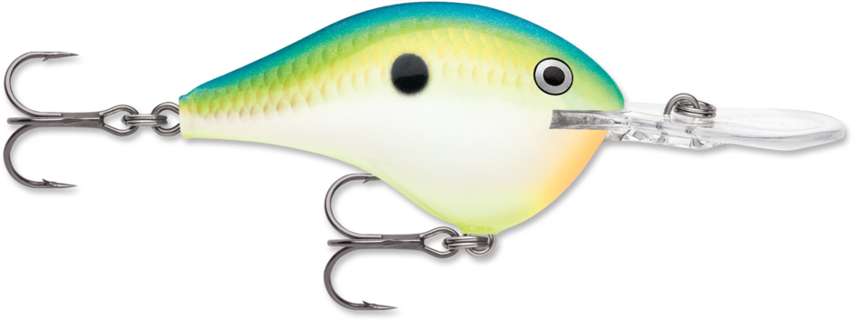 Rapala DT-14 Citrus Shad