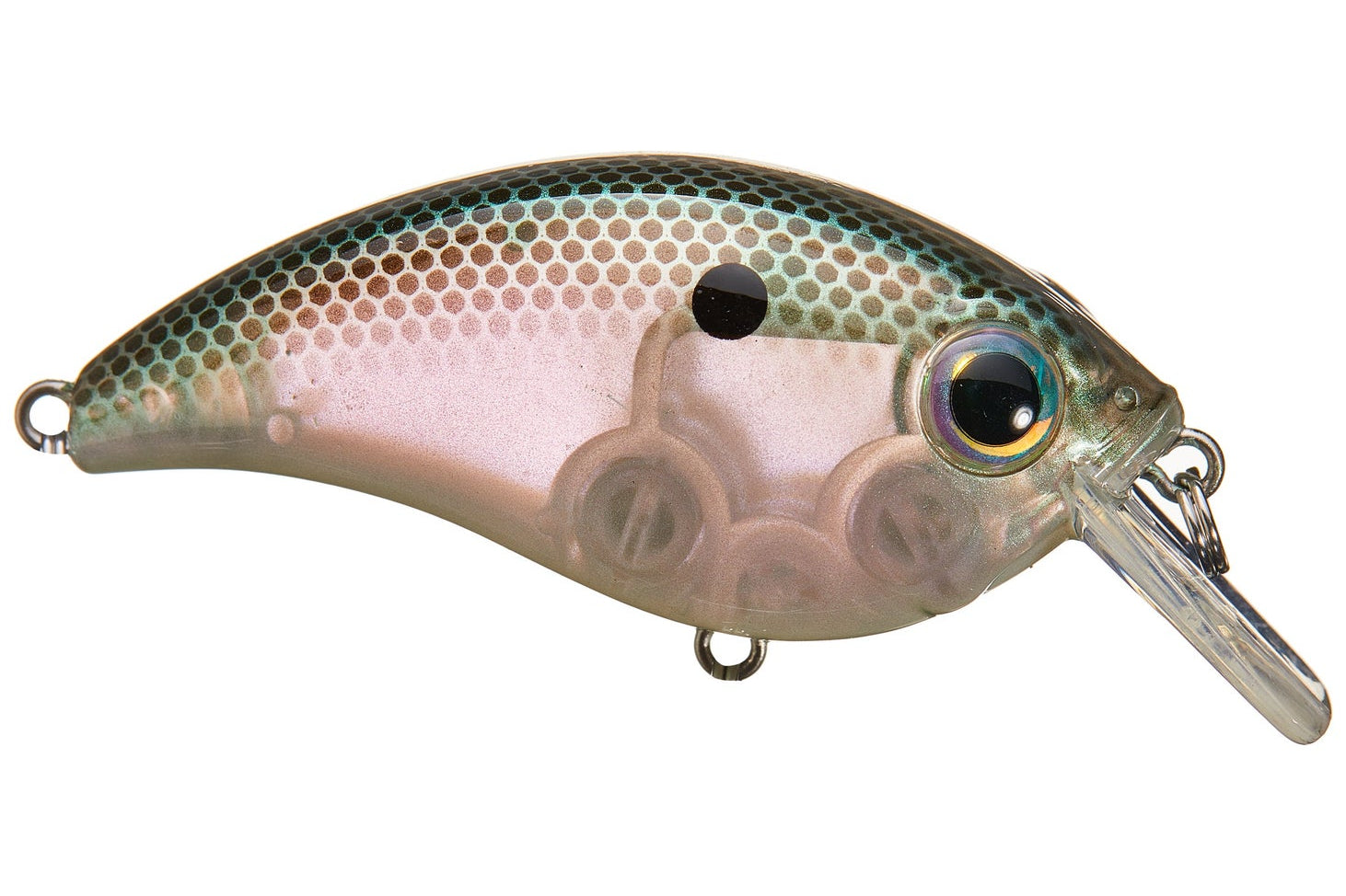 Bill Lewis ATV 2.5 Sqaurebill Crankbait Green Gizzard