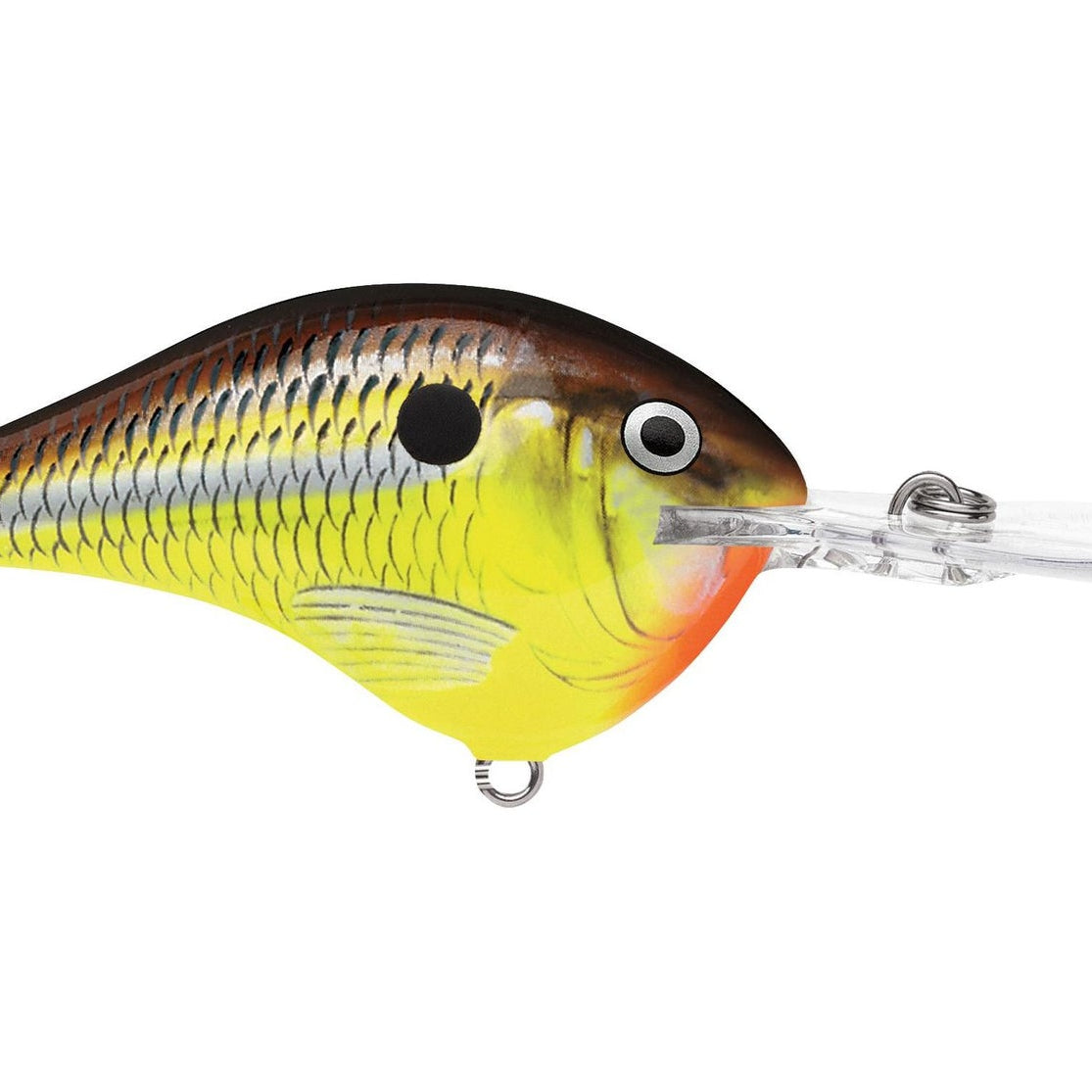 Rapala DT12 Series Crankbaits Hot Mustard