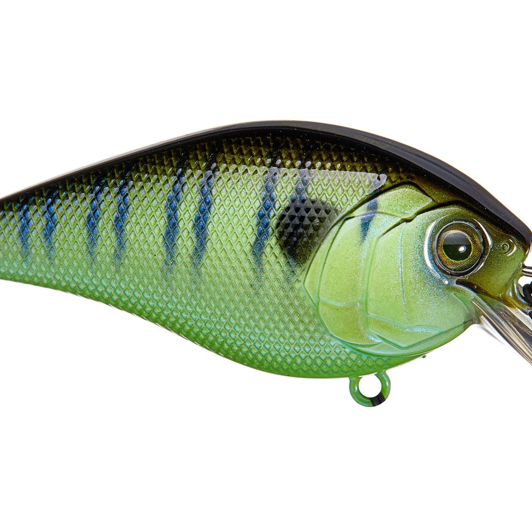 6th Sense Crush 100X Warmouth (D)