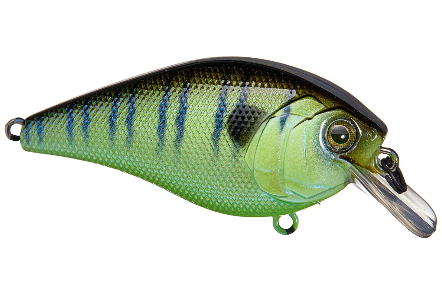 6th Sense Crush 100X Warmouth (D)