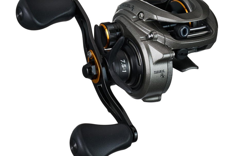 Lew's Accel RX Casting Reels