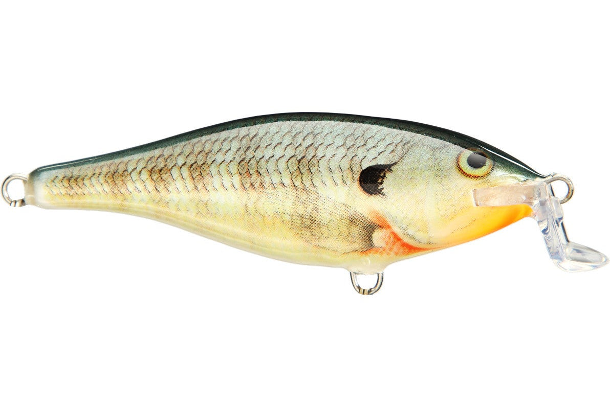 Rapala Shad Rap Shallow Runner 07 Bluegill